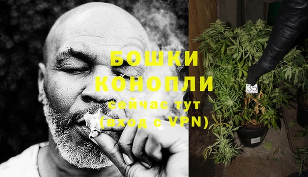 прущая мука Нея