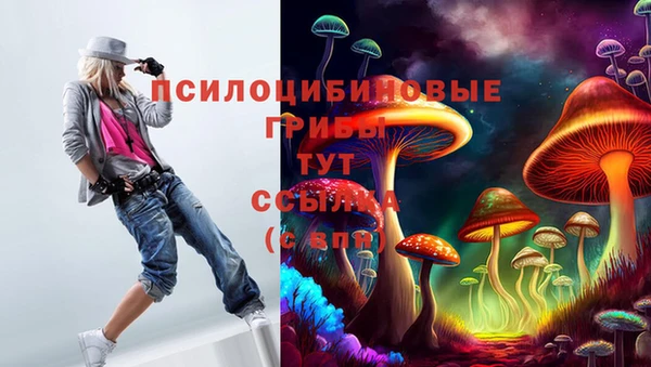 трава Надым