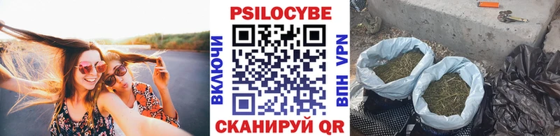Псилоцибиновые грибы Psilocybine cubensis Знаменск