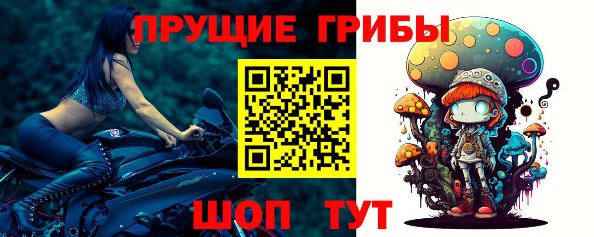 Знаменск  как найти закладки  Вход с VPN  Галлюциногенные грибы GOLDEN TEACHER 