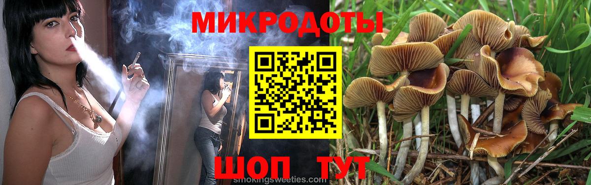 Псилоцибиновые грибы GOLDEN TEACHER Знаменск
