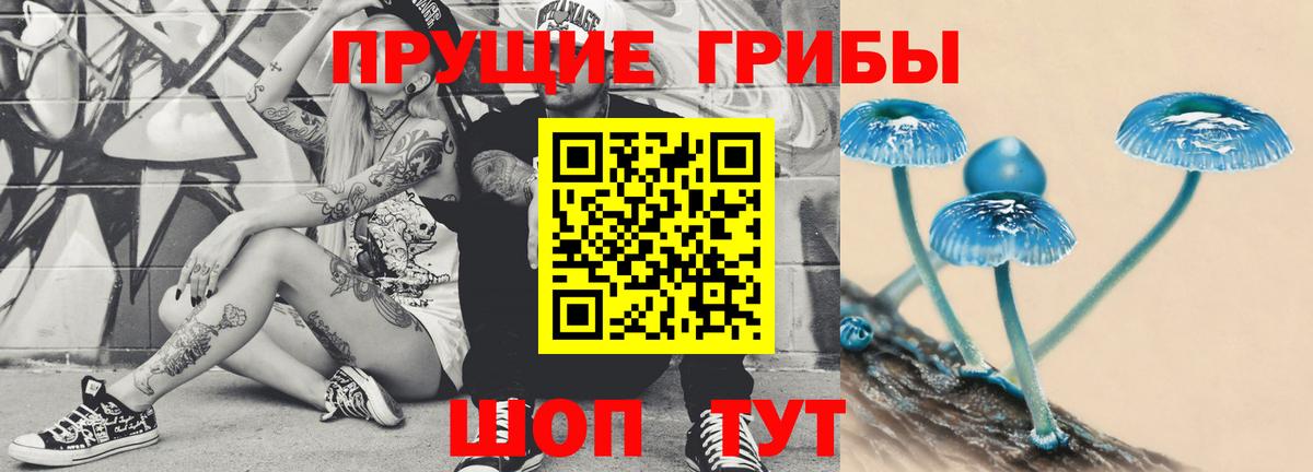 Галлюциногенные грибы GOLDEN TEACHER Знаменск