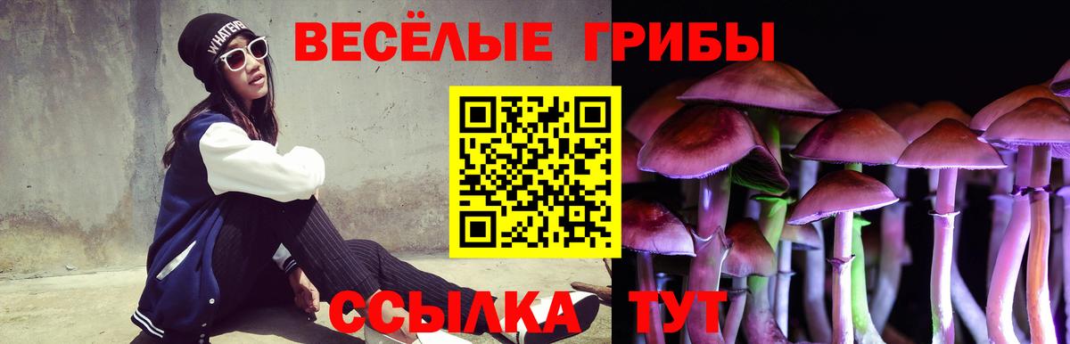 как найти наркотики  Знаменск  Галлюциногенные грибы прущие грибы 